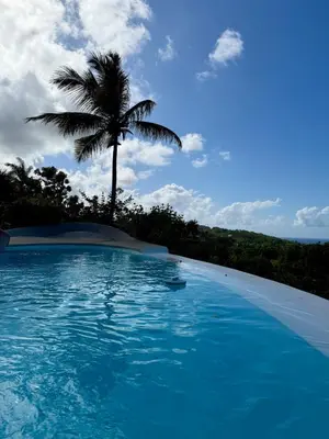 a palm tree and a swimming pool with a palm tree at Casa Amalfi Luxury Oceanview Villa with Pool in Cabrera
