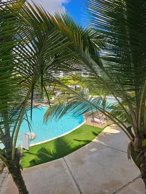 a view of a swimming pool through a palm tree at Estrella Garden Antlia 201 Modern Apartment in La Laguna