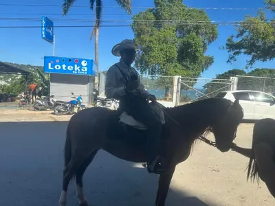 a police officer sitting on a horse in the street at Hotel Porto Escondido in Santa Bárbara de Samaná