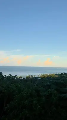 a view of the ocean from a hill with trees at Las Terranas Dream Condo in Las Terrenas