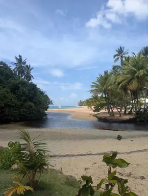 a beach with palm trees and a boat in the water at Las Terranas Dream Condo in Las Terrenas