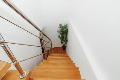 a staircase with a potted plant in a white wall at Exclusive Top-Floor Penthouse with Jacuzzi - BlueCasas in Santiago de los Caballeros