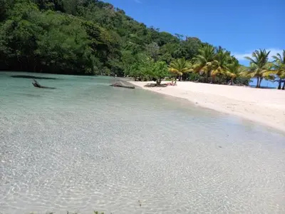 a beach with palm trees and water and a mountain at Casa mar in Las Galeras