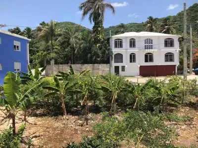 a house in front of a field of banana trees at Los Patos Beach Rooms in Colorado