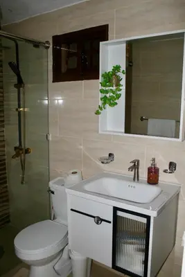 a bathroom with a toilet and a sink and a mirror at Villa lobos in Concepción de La Vega