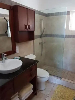 a bathroom with a shower and a toilet and a sink at Cozy Garden Oasis Steps to the Beach in Cabarete