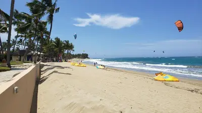 a beach with a bunch of kites on it at Cozy Garden Oasis Steps to the Beach in Cabarete