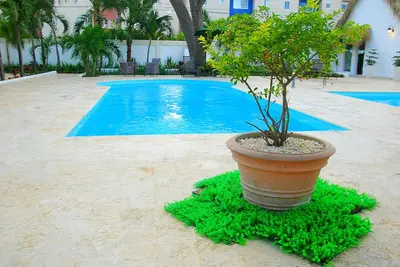 a plant in a pot next to a swimming pool at Nuovo Hotel Playa Catalina in La Romana
