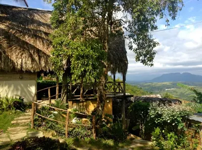 a house with a thatched roof and a tree at Ecolodge Tubagua Puerto Plata in Tubagua