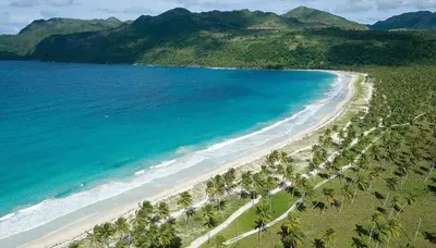 an aerial view of a beach with palm trees at Villa Talanquera in Las Galeras