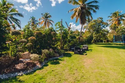 a row of chairs in a park with palm trees at Villa Maud in La Romana