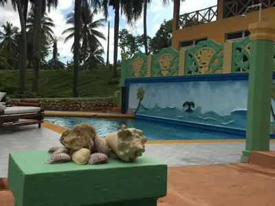 a couple of stuffed animals laying next to a pool at Casa Altea in Santa Bárbara de Samaná