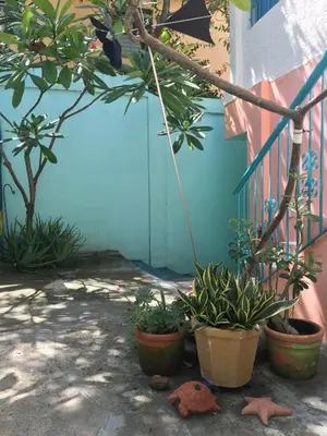 a group of plants in pots next to a blue wall at Casa Azul - Apartment in San Felipe de Puerto Plata