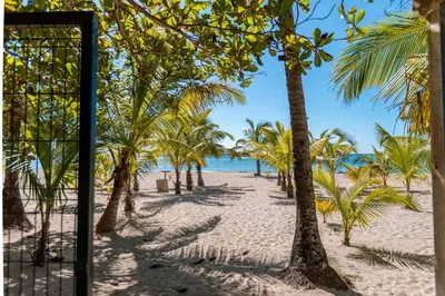a view of a beach with palm trees and the ocean at Amazing Apartments, A-Juan Dolio, El Bonito II in Juan Dolio