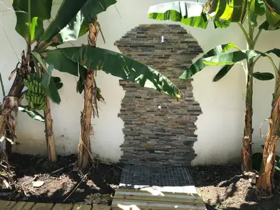 a brick wall with a plant in front of it at Centro de Santiago in Santiago de los Caballeros