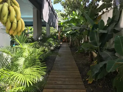 a walkway in a garden with bananas hanging from a building at Centro de Santiago in Santiago de los Caballeros