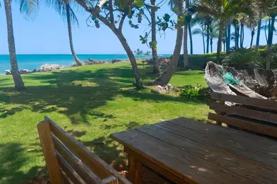 a wooden bench sitting on the grass near the ocean at Jasmine La Playita - Ocean Front in Las Galeras
