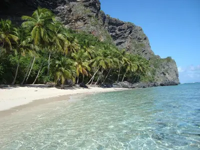 a group of palm trees on a beach at Villa Diana in Las Galeras
