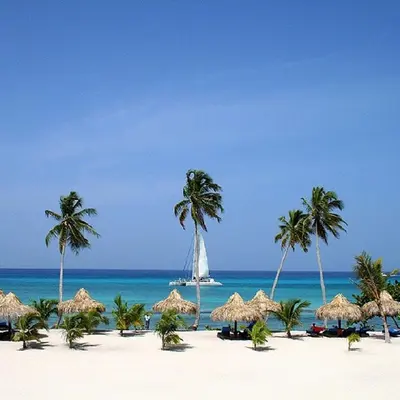 a beach with straw umbrellas and palm trees and a sail boat at Appartamento Vista Mare in Bayahibe