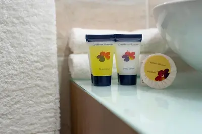 two bottles of sunscreen sitting on a shelf in a bathroom at Hotel Real Bella Vista in Santo Domingo