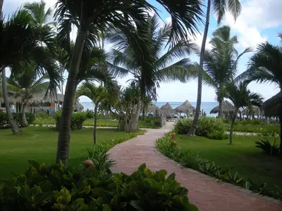 a walkway through a resort with palm trees and the ocean at VIK hotel Arena Blanca in Punta Cana