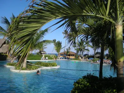 a pool with palm trees and people in the water at VIK hotel Arena Blanca in Punta Cana