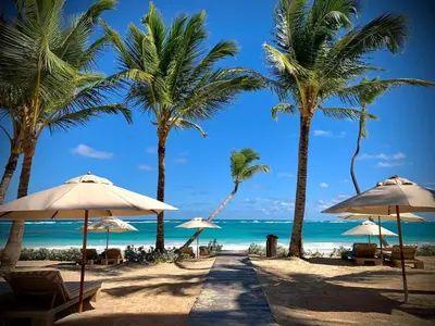 a beach with palm trees and chairs and umbrellas at VIK Hotel Cayena Beach All Inclusive in Punta Cana