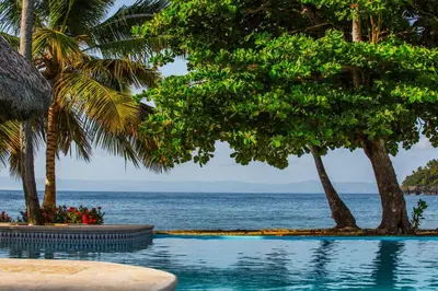 a swimming pool next to the ocean with palm trees at The Cove Apartments in El Francés
