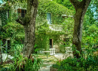 an ivy covered building with a table and a tree at Villa Carolina Bed and Breakfast in San Felipe de Puerto Plata