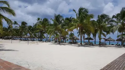 a white beach with palm trees and the ocean at Appartamento Cadaques Bayahibe in Bayahibe