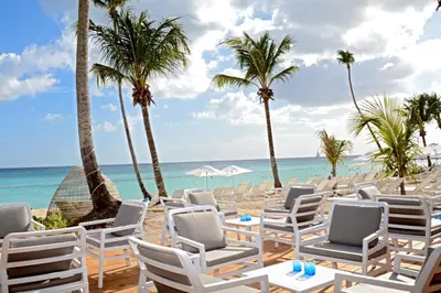 a beach with chairs and palm trees and the ocean at Catalonia Royal La Romana Adults Only - All Inclusive in Bayahibe