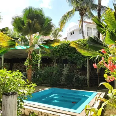 a swimming pool in front of a house with palm trees at Riviera Punta Cana Eco Travelers in Punta Cana