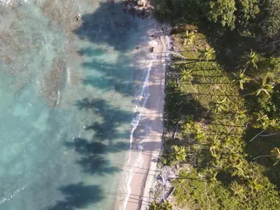 an overhead view of a beach with palm trees and the ocean at Hotel Al Mare in Santa Cruz de Barahona