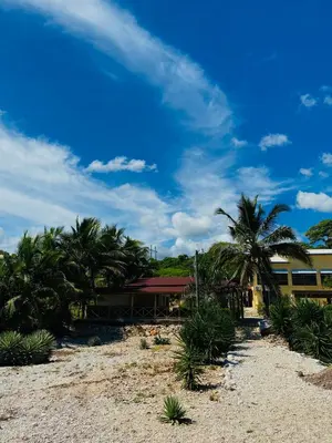 a resort with palm trees in front of a building at Hotel Al Mare in Santa Cruz de Barahona