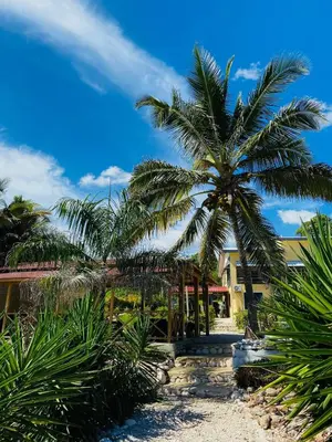a palm tree in front of a house at Hotel Al Mare in Santa Cruz de Barahona
