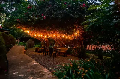 a garden with a pergola with lights on it at Hotel Rancho Constanza & Cabañas de la Montaña in Constanza