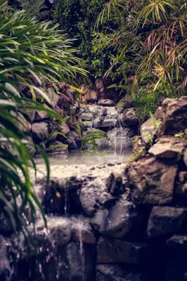 a waterfall in a garden with rocks and plants at Hotel Rancho Constanza & Cabañas de la Montaña in Constanza