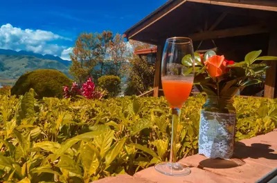 a glass of wine next to a vase with flowers at Hotel Rancho Constanza & Cabañas de la Montaña in Constanza
