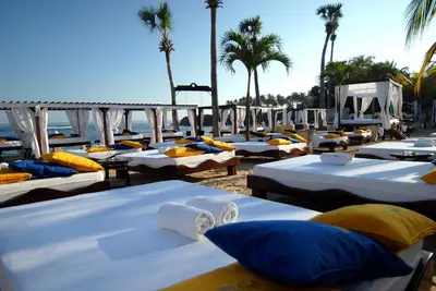 a row of beds on a beach with palm trees at Presidential Suites by Lifestyle Puerto Plata - All Inclusive in San Felipe de Puerto Plata