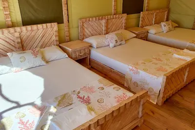 a room with three beds in a room at Glamping EcoLodge Cueva De Las Aguilas in Pedernales
