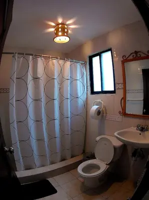a bathroom with a shower and a toilet and a sink at Hotel Maison Gautreaux in Santo Domingo