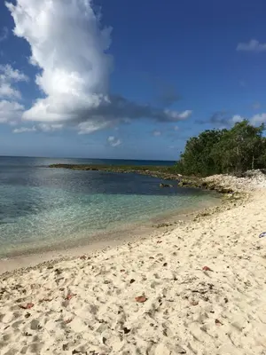 a sandy beach with trees and the ocean at Casita Blanca Bayahibe in Bayahibe