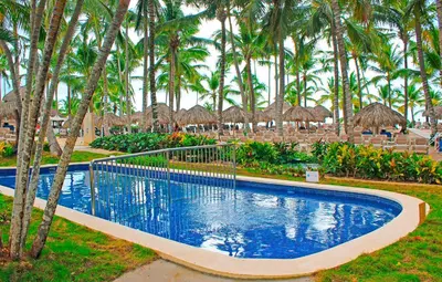 a swimming pool with palm trees in a resort at Catalonia Bayahibe - All Inclusive in Bayahibe