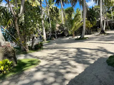 a road with palm trees on the side of it at Playa Paraiso en Magante in La Yagua