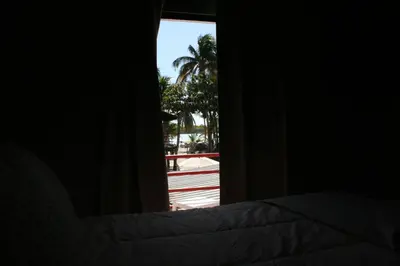 a bedroom window with a view of a palm tree at Hotel Zapata in Boca Chica