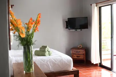 a vase of flowers on a table in a room at Hotel Zapata in Boca Chica