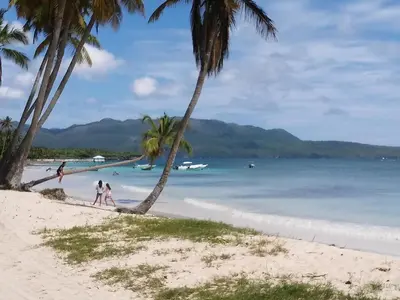 a group of people walking on a beach with palm trees at Hostel La Ballena Backpacker in Las Galeras