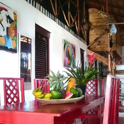 Hostel La Ballena Backpacker