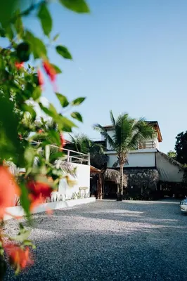 a house with a palm tree in front of it at Residencia El Balatà in Las Terrenas