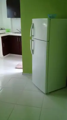 a white refrigerator in a kitchen with a green wall at Casa Vasquez in San Felipe de Puerto Plata